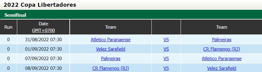 Nhận định, dự đoán Paranaense vs Palmeiras 7h30 ngày 318 (Copa Libertadores 2022) 5